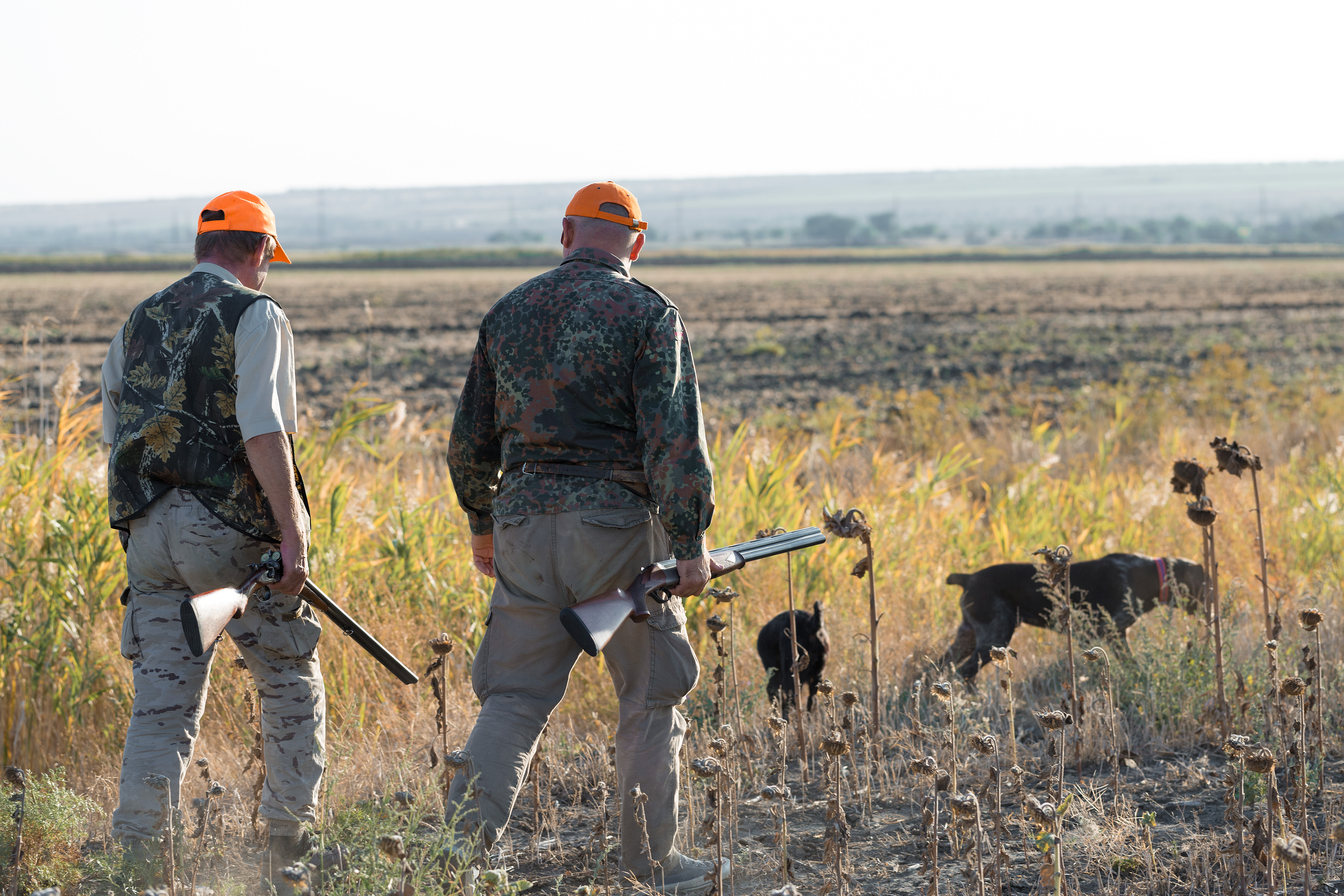 Chasseurs de canards marchant dans un pré avec un fusil, prêts pour la chasse