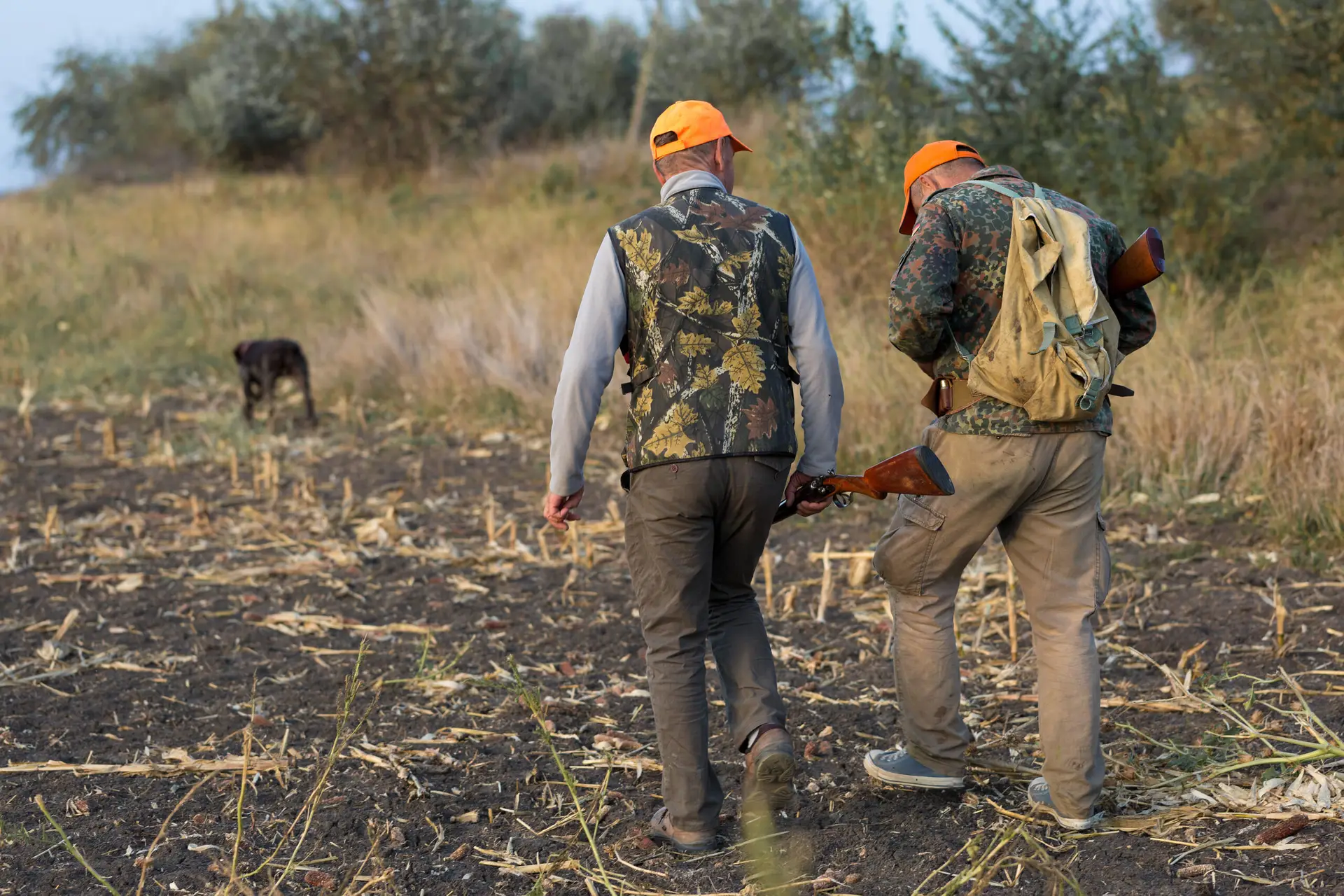 Chasseurs marchant à travers un pré, fusils à la main, prêts pour la chasse